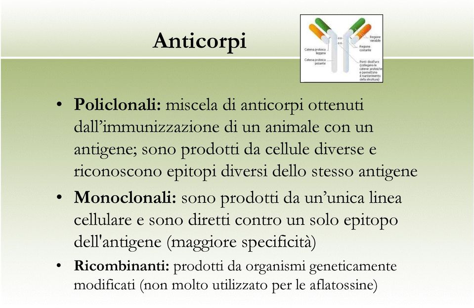 prodotti da un unica linea cellulare e sono diretti contro un solo epitopo dell'antigene (maggiore