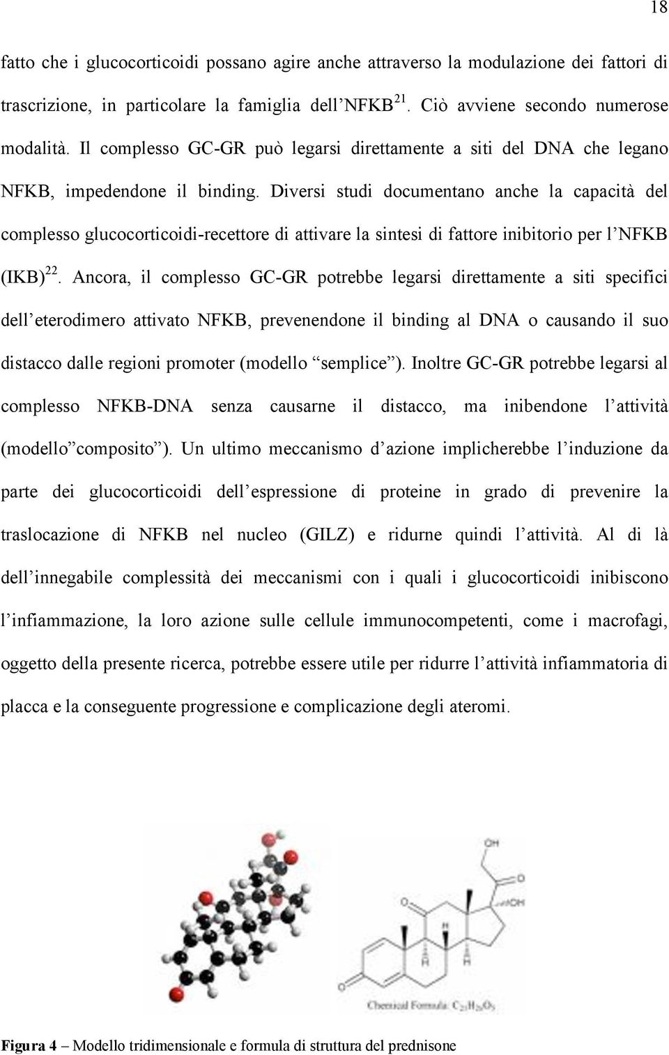 Diversi studi documentano anche la capacità del complesso glucocorticoidi-recettore di attivare la sintesi di fattore inibitorio per l NFKB (IKB) 22.