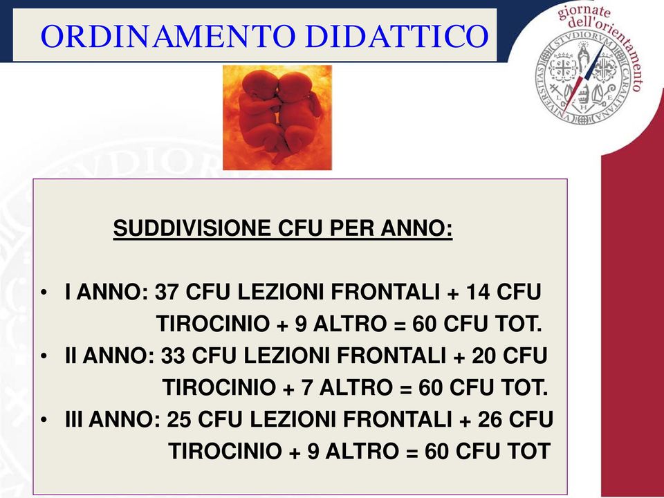 II ANNO: 33 CFU LEZIONI FRONTALI + 20 CFU TIROCINIO + 7 ALTRO = 60