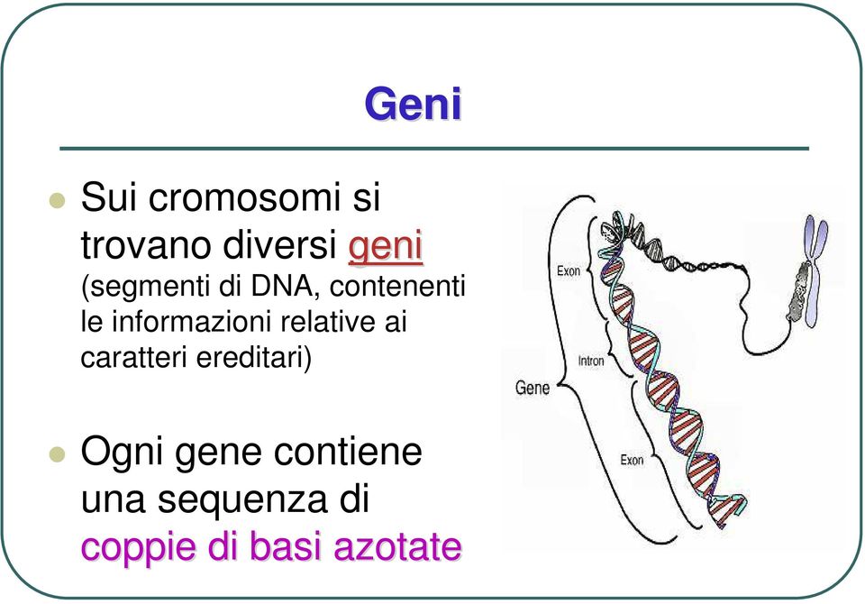 relative ai caratteri ereditari) Ogni gene