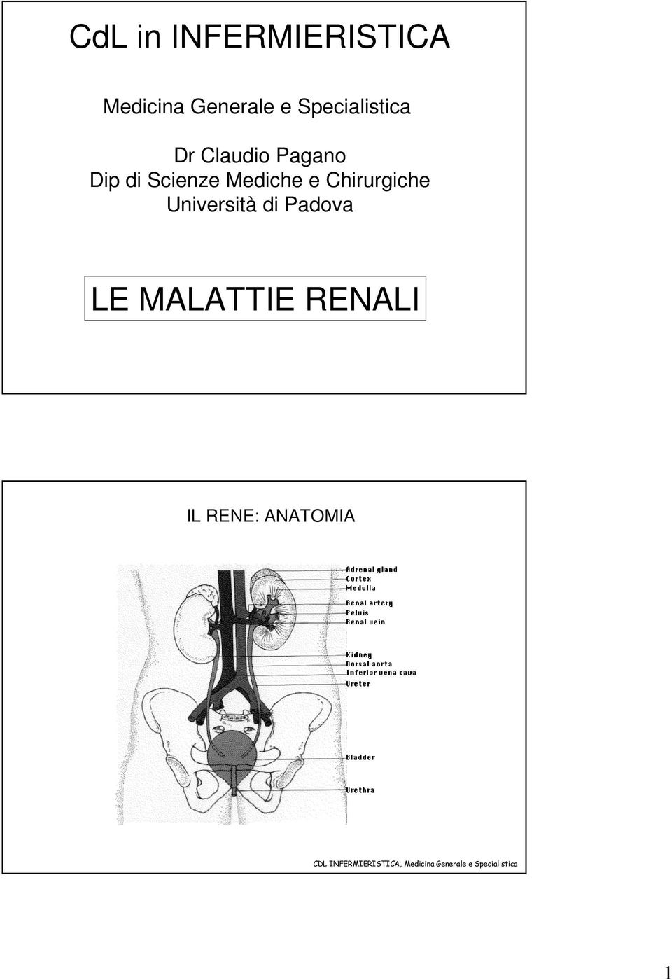 Scienze Mediche e Chirurgiche Università