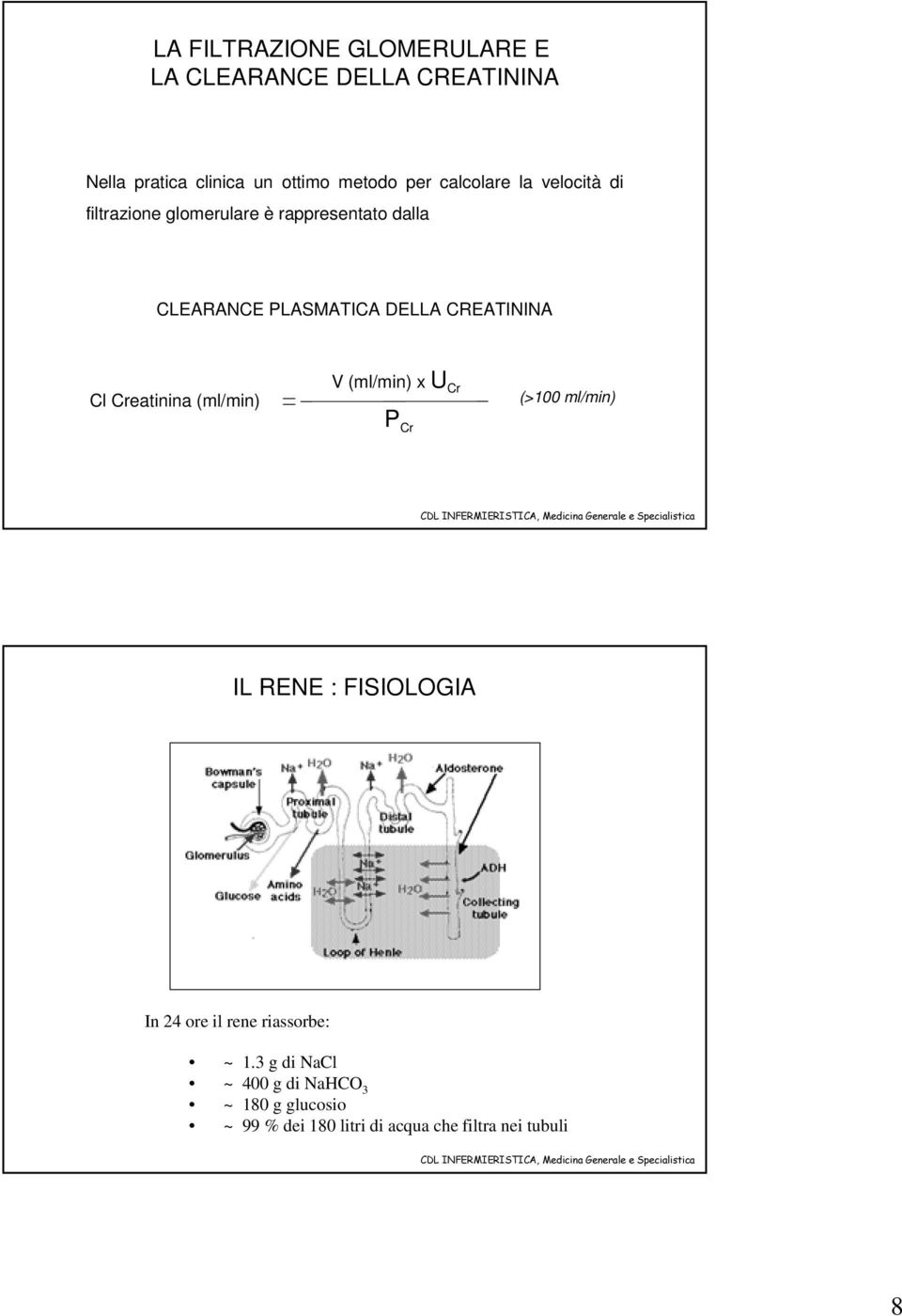 CREATININA Cl Creatinina (ml/min) V (ml/min) x U Cr P Cr (>100 ml/min) IL RENE : FISIOLOGIA In 24 ore il