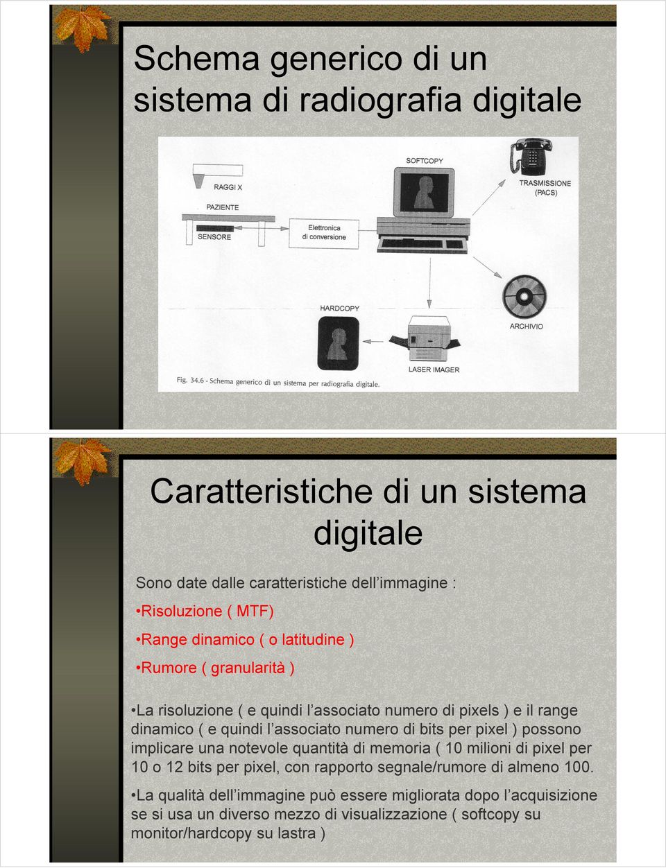 numero di bits per pixel ) possono implicare una notevole quantità di memoria ( 10 milioni di pixel per 10 o 12 bits per pixel, con rapporto segnale/rumore di