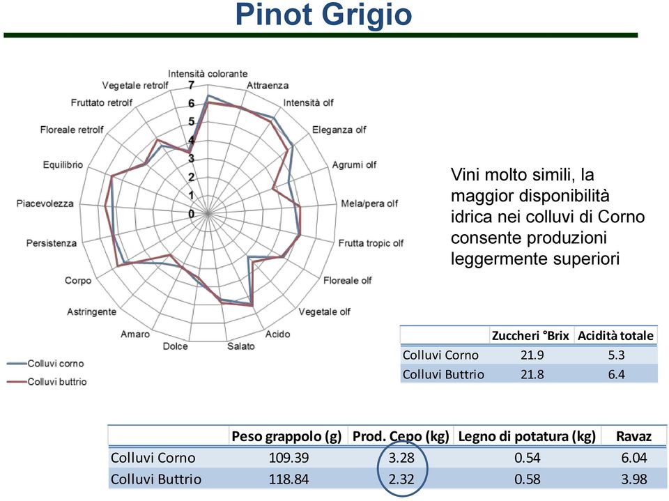 21.9 5.3 Colluvi Buttrio 21.8 6.4 Peso grappolo (g) Prod.