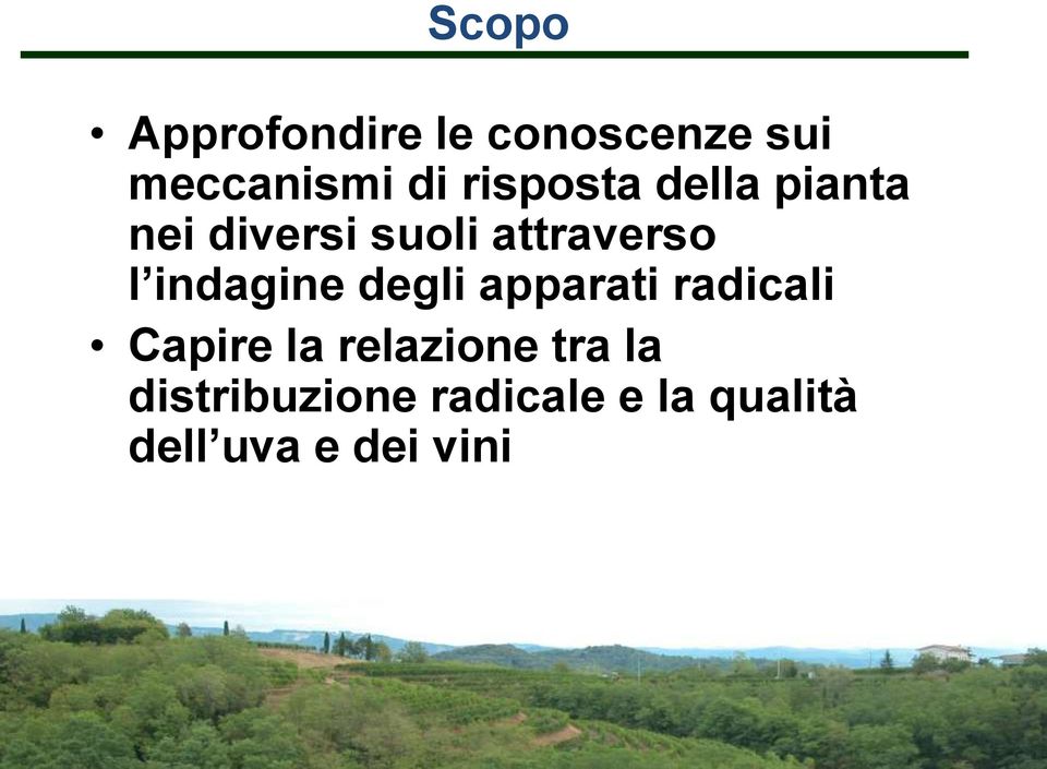 indagine degli apparati radicali Capire la relazione