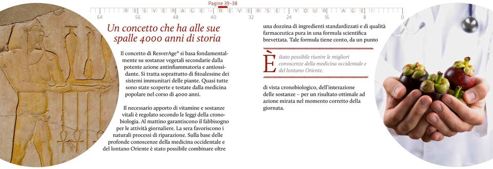 Il necessario apporto di vitamine e sostanze vitali è regolato secondo le leggi della cronobiologia. Al mattino garantiscono il fabbisogno per le attività giornaliere.