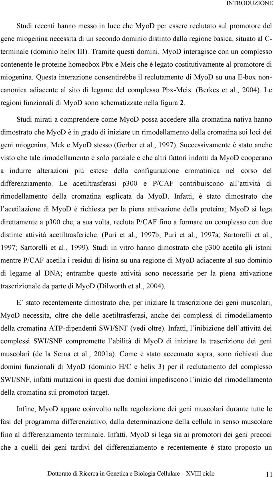 Questa interazione consentirebbe il reclutamento di MyoD su una E-box noncanonica adiacente al sito di legame del complesso Pbx-Meis. (Berkes et al., 2004).