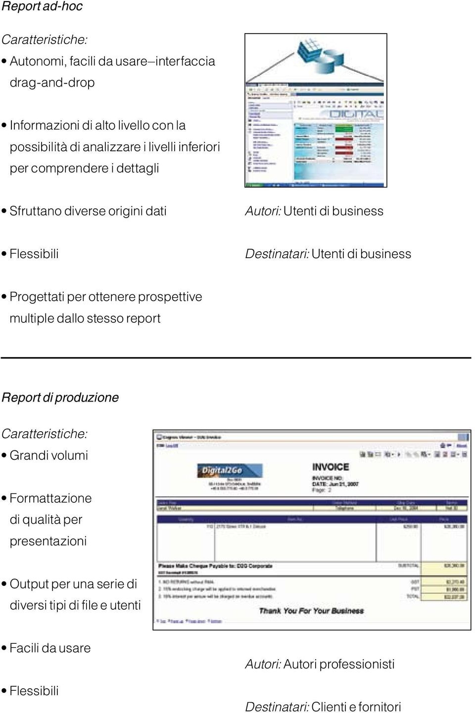 Progettati per ottenere prospettive multiple dallo stesso report Report di produzione Grandi volumi Formattazione di qualità per