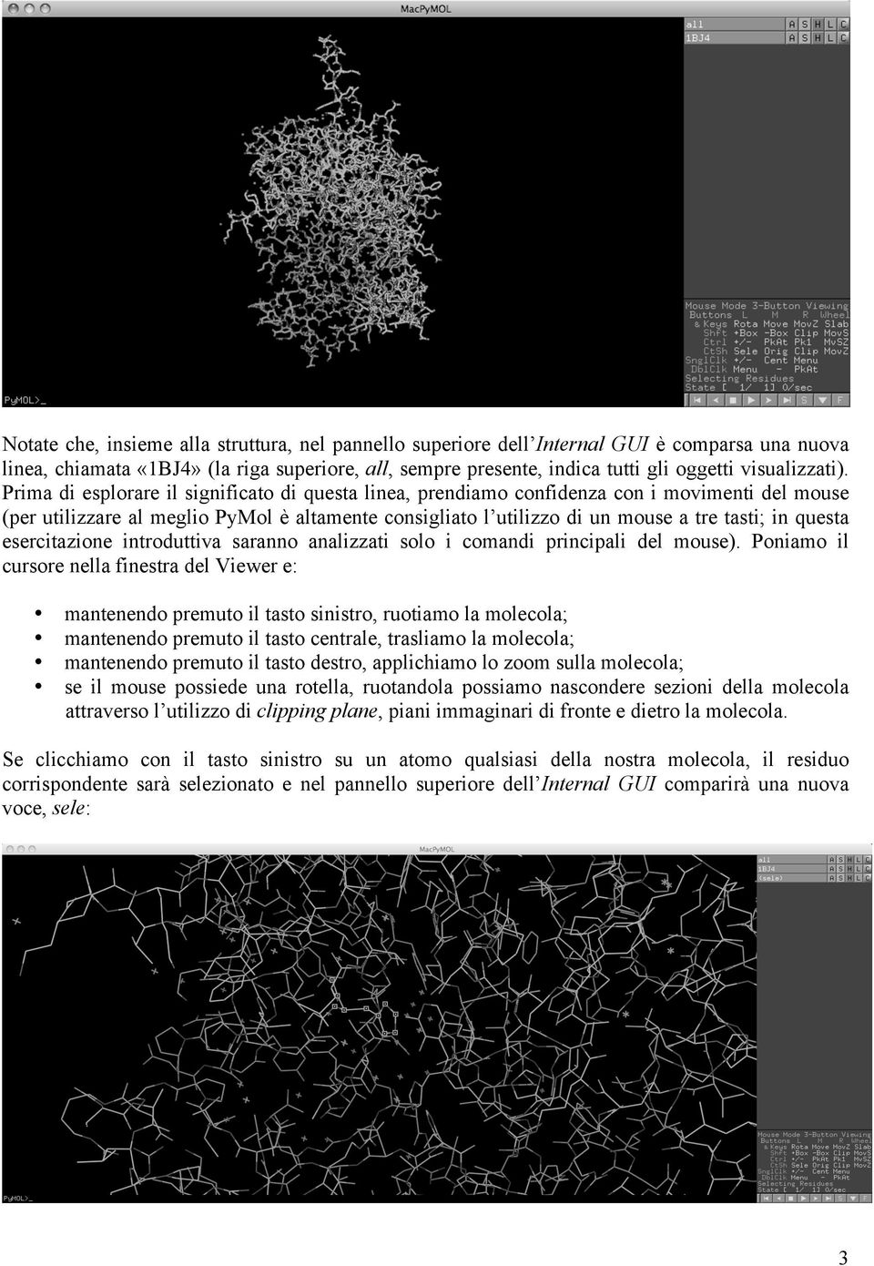 Prima di esplorare il significato di questa linea, prendiamo confidenza con i movimenti del mouse (per utilizzare al meglio PyMol è altamente consigliato l utilizzo di un mouse a tre tasti; in questa