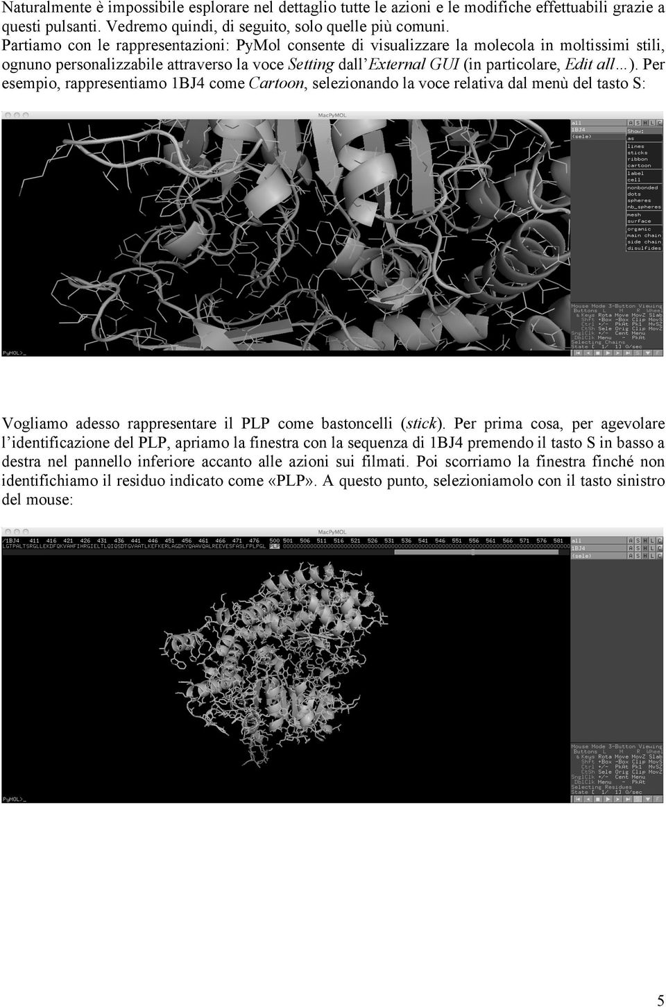 Per esempio, rappresentiamo 1BJ4 come Cartoon, selezionando la voce relativa dal menù del tasto S: Vogliamo adesso rappresentare il PLP come bastoncelli (stick).