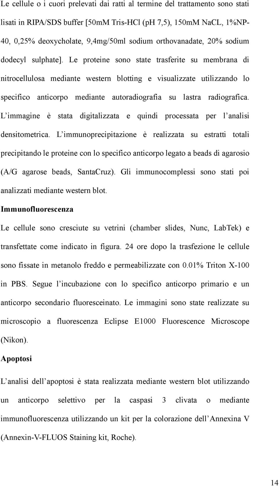 Le proteine sono state trasferite su membrana di nitrocellulosa mediante western blotting e visualizzate utilizzando lo specifico anticorpo mediante autoradiografia su lastra radiografica.