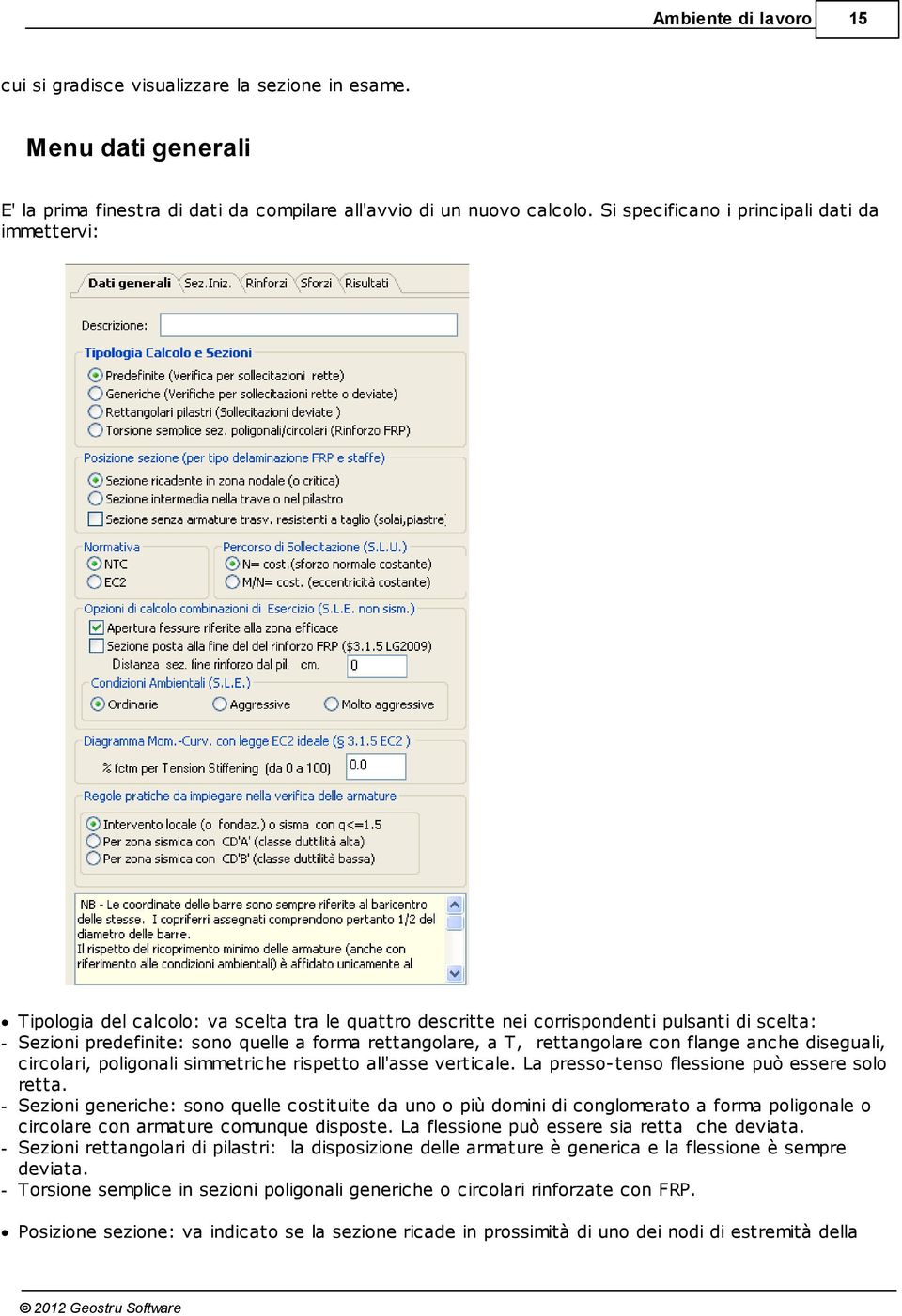 rettangolare, a T, rettangolare con flange anche diseguali, circolari, poligonali simmetriche rispetto all'asse verticale. La presso-tenso flessione può essere solo retta.