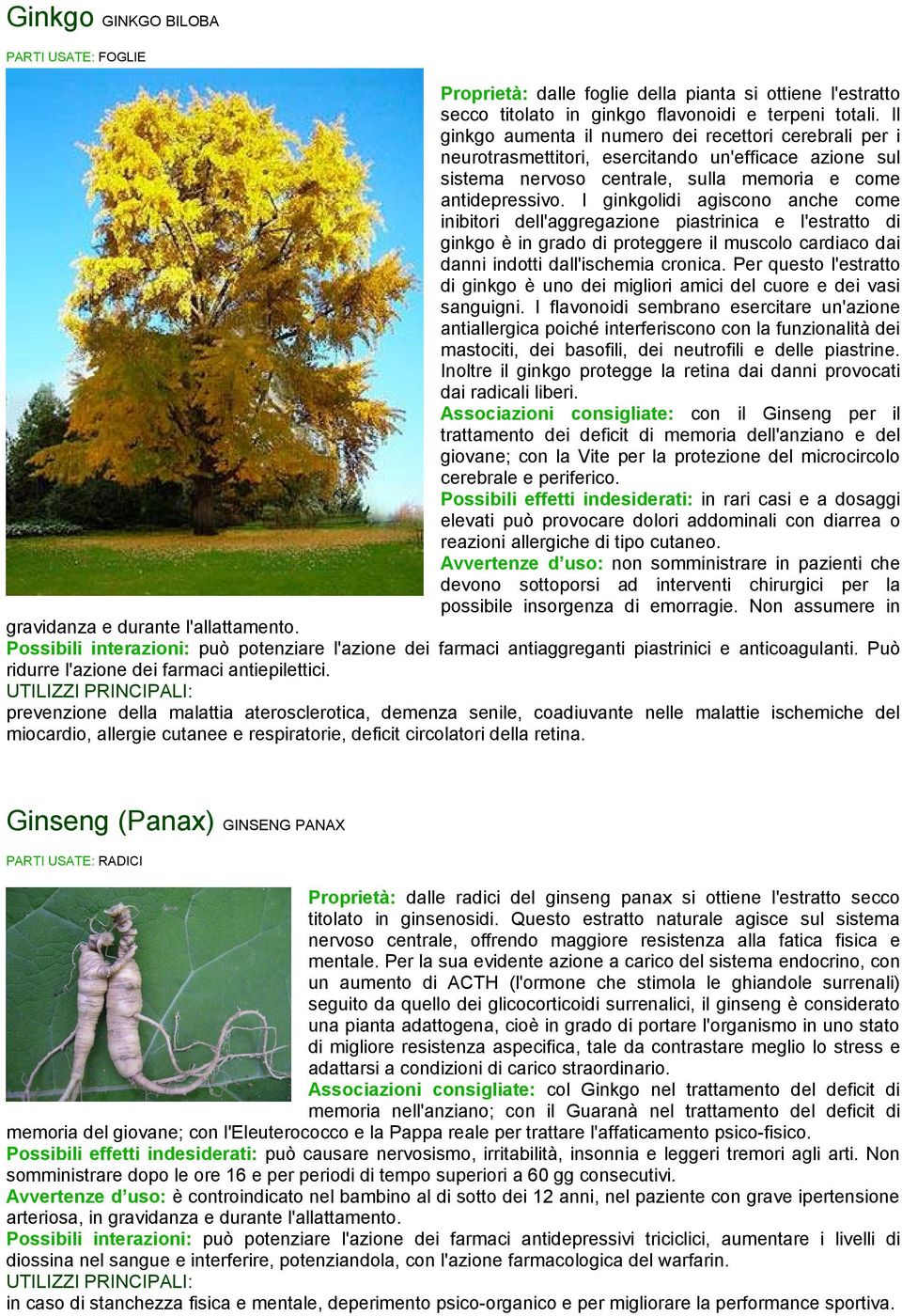 I ginkgolidi agiscono anche come inibitori dell'aggregazione piastrinica e l'estratto di ginkgo è in grado di proteggere il muscolo cardiaco dai danni indotti dall'ischemia cronica.