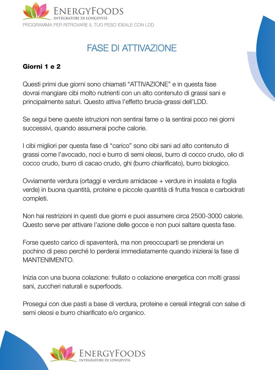 I cibi migliori per questa fase di carico sono cibi sani ad alto contenuto di grassi come l avocado, noci e burro di semi oleosi, burro di cocco crudo, olio di cocco crudo, burro di cacao crudo, ghi