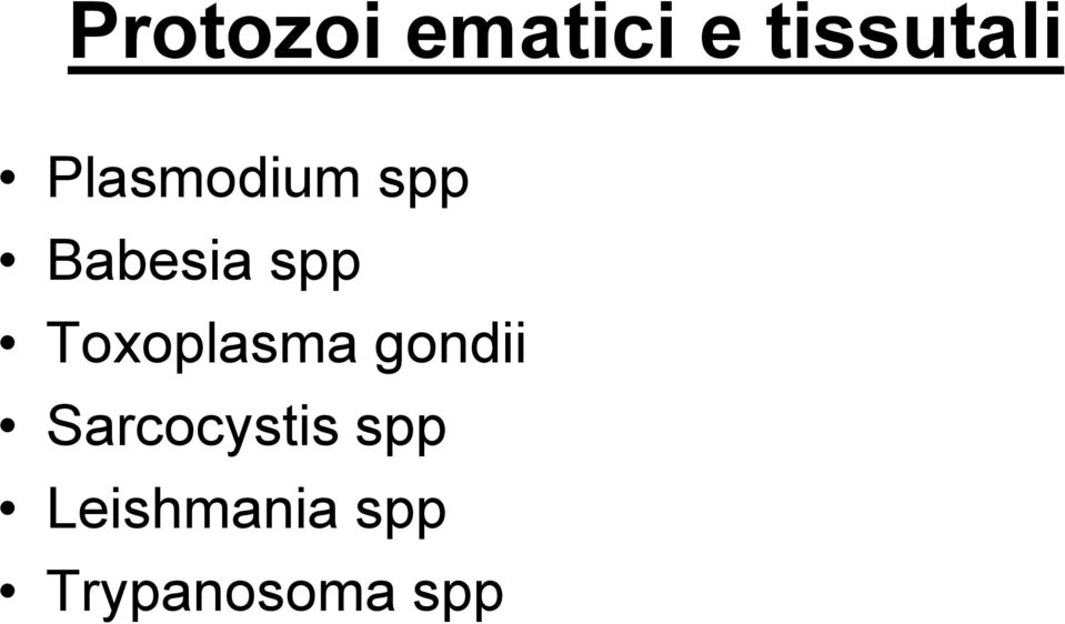 Toxoplasma gondii Sarcocystis