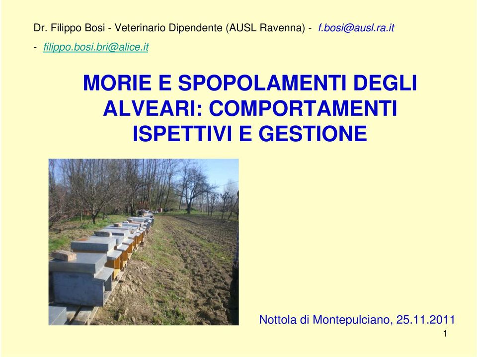 it MORIE E SPOPOLAMENTI DEGLI ALVEARI: COMPORTAMENTI