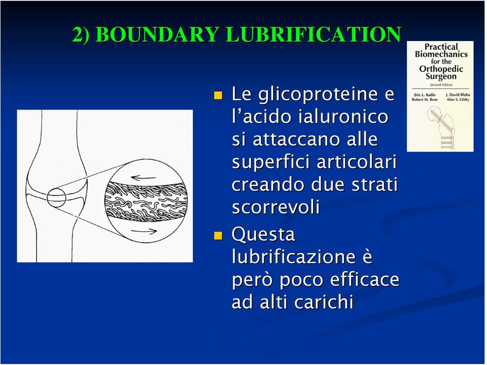 articolari creando due strati scorrevoli Questa