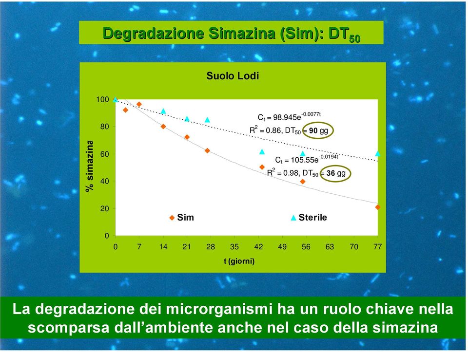 98, DT 50 = 36 gg 20 Sim Sterile 0 0 7 14 21 28 35 42 49 56 63 70 77 t (giorni) La