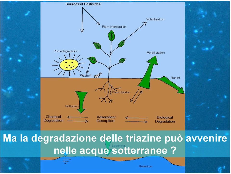 delle triazine