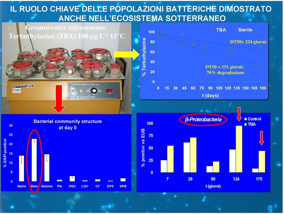 giorni; 0 0 15 30 45 60 75 90 105 120 135 150 165 180 t (days) % DAPI positive 30 25 20 15 10 Bacterial community structure at