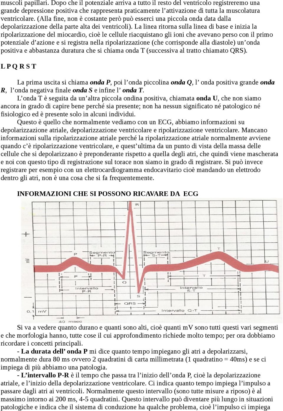 (Alla fine, non è costante però può esserci una piccola onda data dalla depolarizzazione della parte alta dei ventricoli).