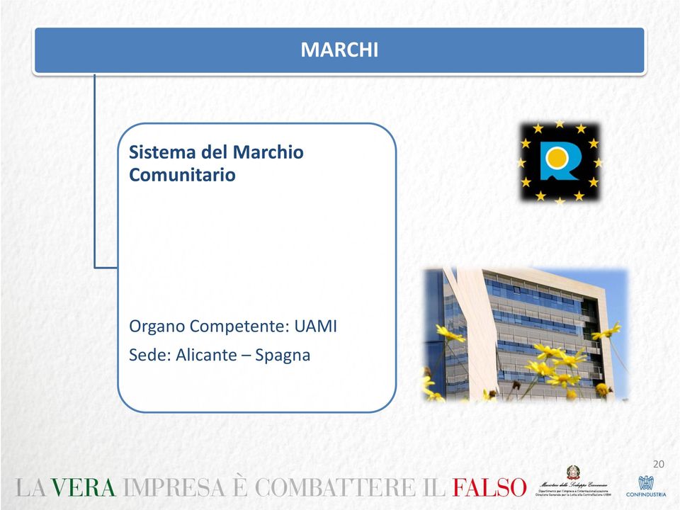 Organo Competente: