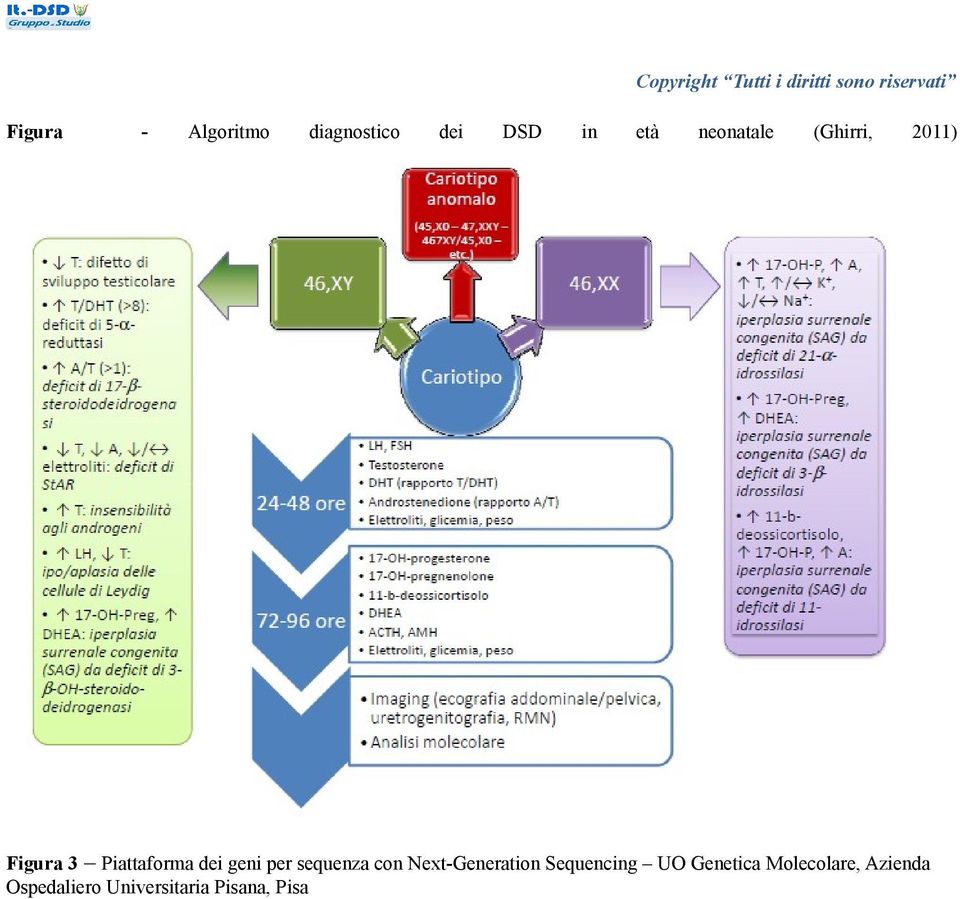 geni per sequenza con Next-Generation Sequencing UO