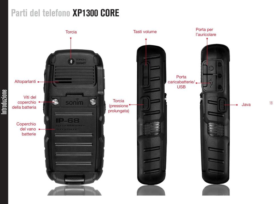 Introduzione Viti del coperchio della batteria Torcia