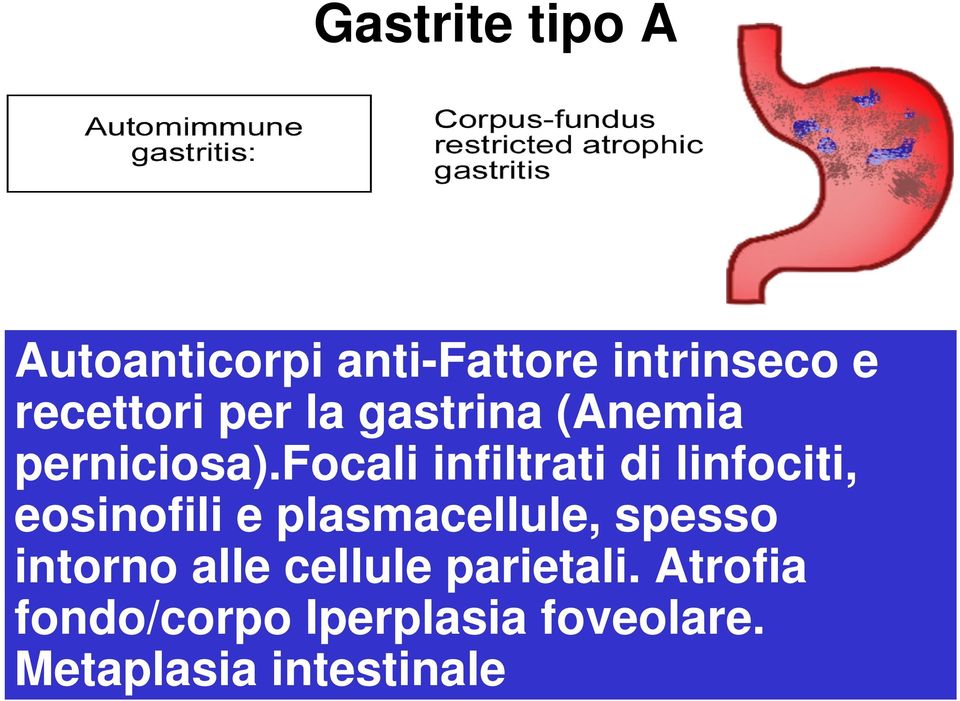 focali infiltrati di linfociti, eosinofili e plasmacellule, spesso