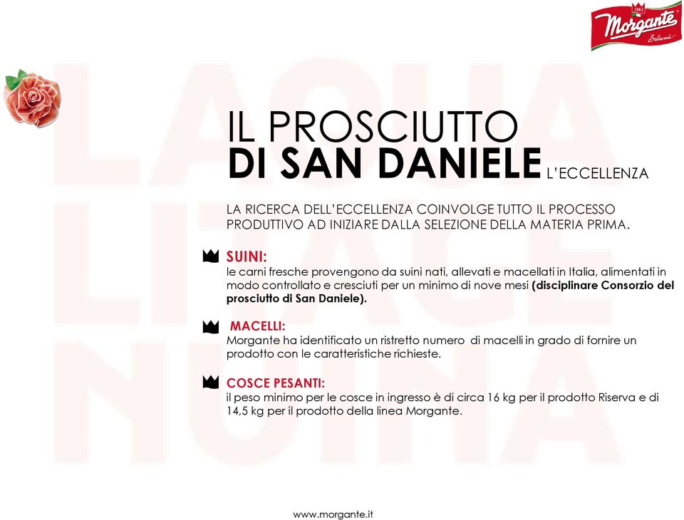 (disciplinare Consorzio del prosciutto di San Daniele).