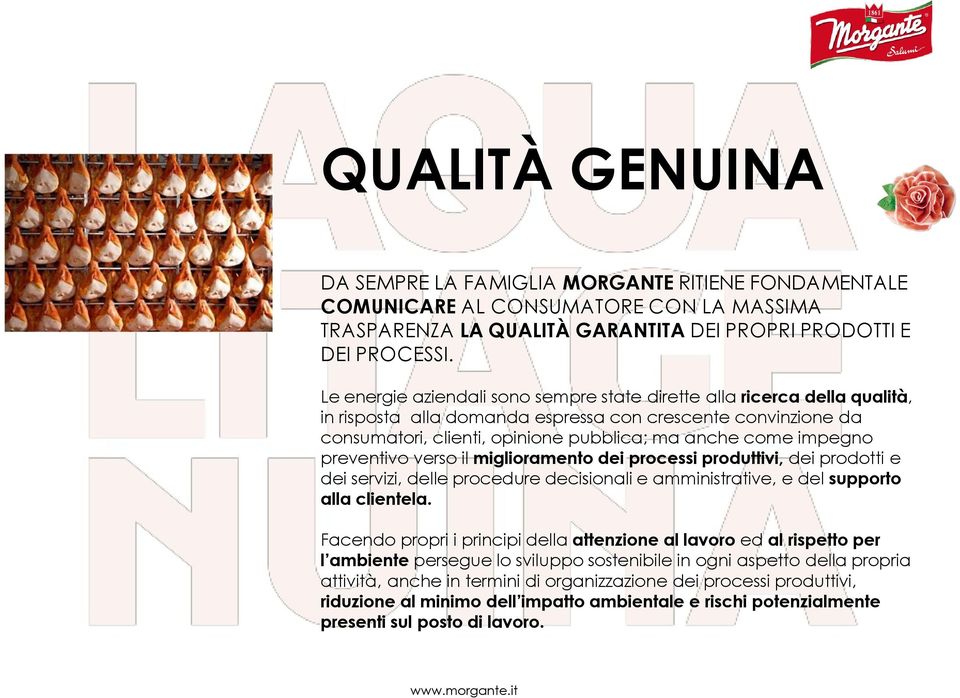 impegno preventivo verso il miglioramento dei processi produttivi, dei prodotti e dei servizi, delle procedure decisionali e amministrative, e del supporto alla clientela.