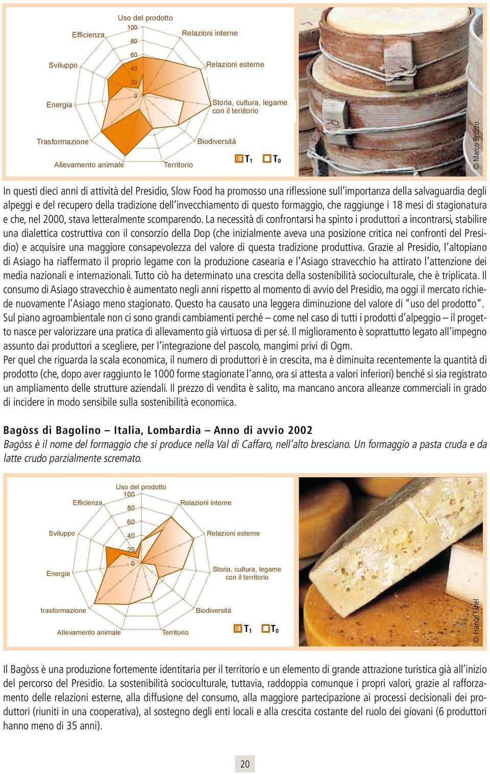 ha promosso una riflessione sull importanza della salvaguardia degli alpeggi e del recupero della tradizione dell invecchiamento di questo formaggio, che raggiunge i 18 mesi di stagionatura e che,