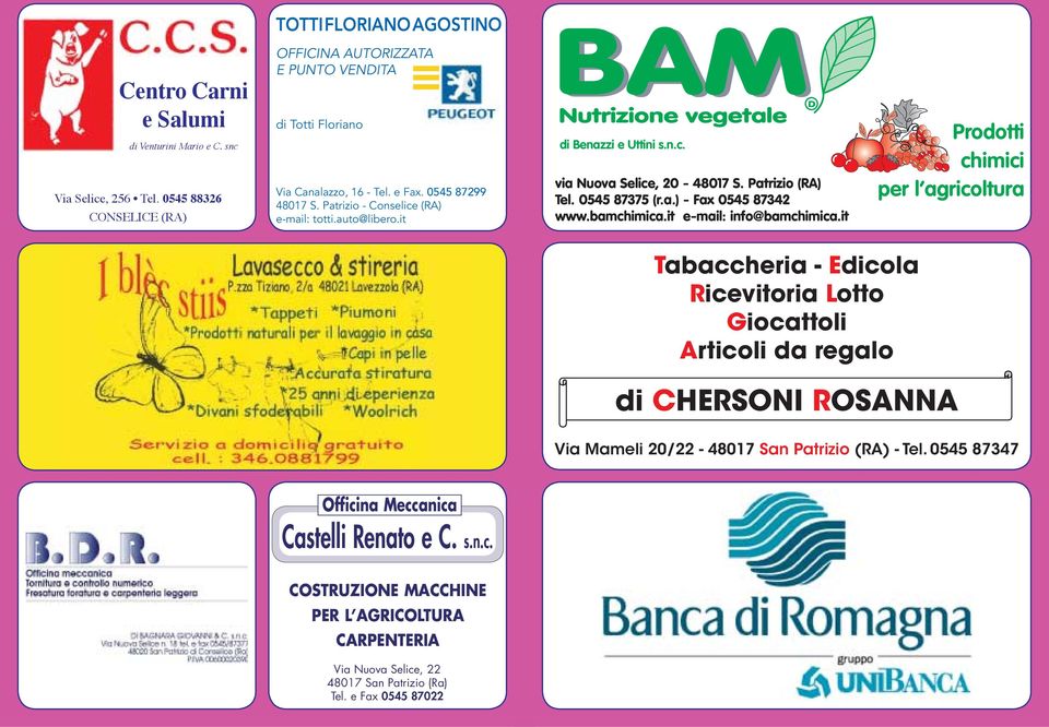 it di Benazzi e Uttini s.n.c. via Nuova Selice, 20-48017 S. Patrizio (RA) Tel. 0545 87375 (r.a.) - Fax 0545 87342 www.bamchimica.it e-mail: info@bamchimica.