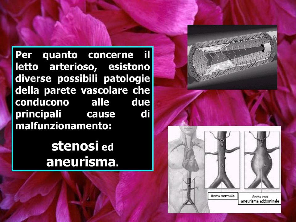 parete vascolare che conducono alle due