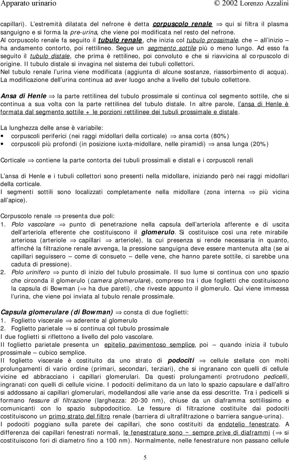 Ad esso fa seguito il tubulo distale, che prima è rettilineo, poi convoluto e che si riavvicina al corpuscolo di origine. Il tubulo distale si invagina nel sistema dei tubuli collettori.