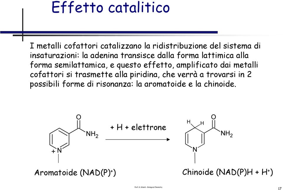 dai metalli cofattori si trasmette alla piridina, che verrà a trovarsi in 2 possibili forme di