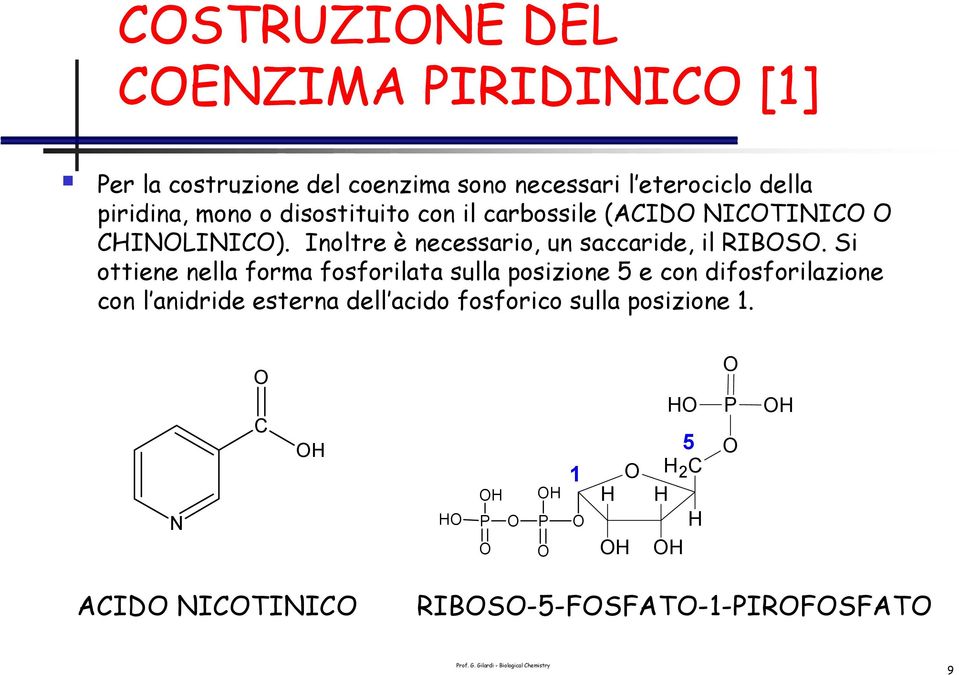 Inoltre è necessario, un saccaride, il RIBS.