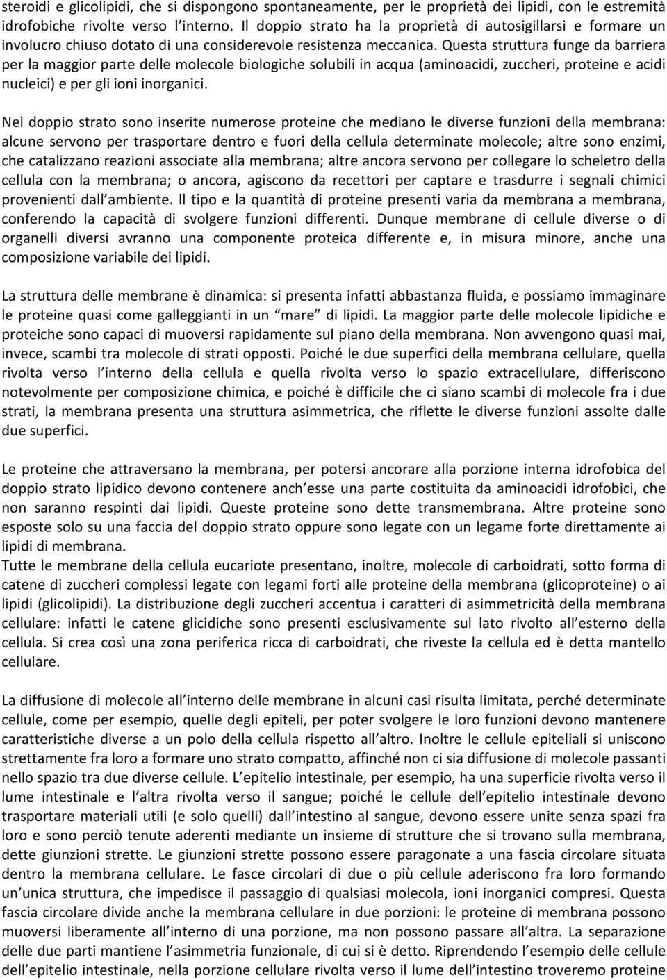 Questa struttura funge da barriera per la maggior parte delle molecole biologiche solubili in acqua (aminoacidi, zuccheri, proteine e acidi nucleici) e per gli ioni inorganici.