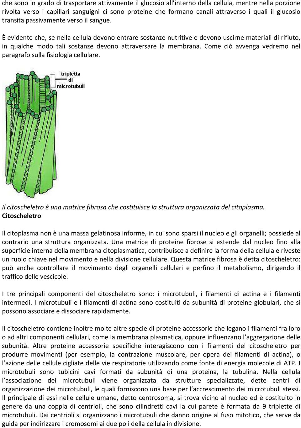 È evidente che, se nella cellula devono entrare sostanze nutritive e devono uscirne materiali di rifiuto, in qualche modo tali sostanze devono attraversare la membrana.