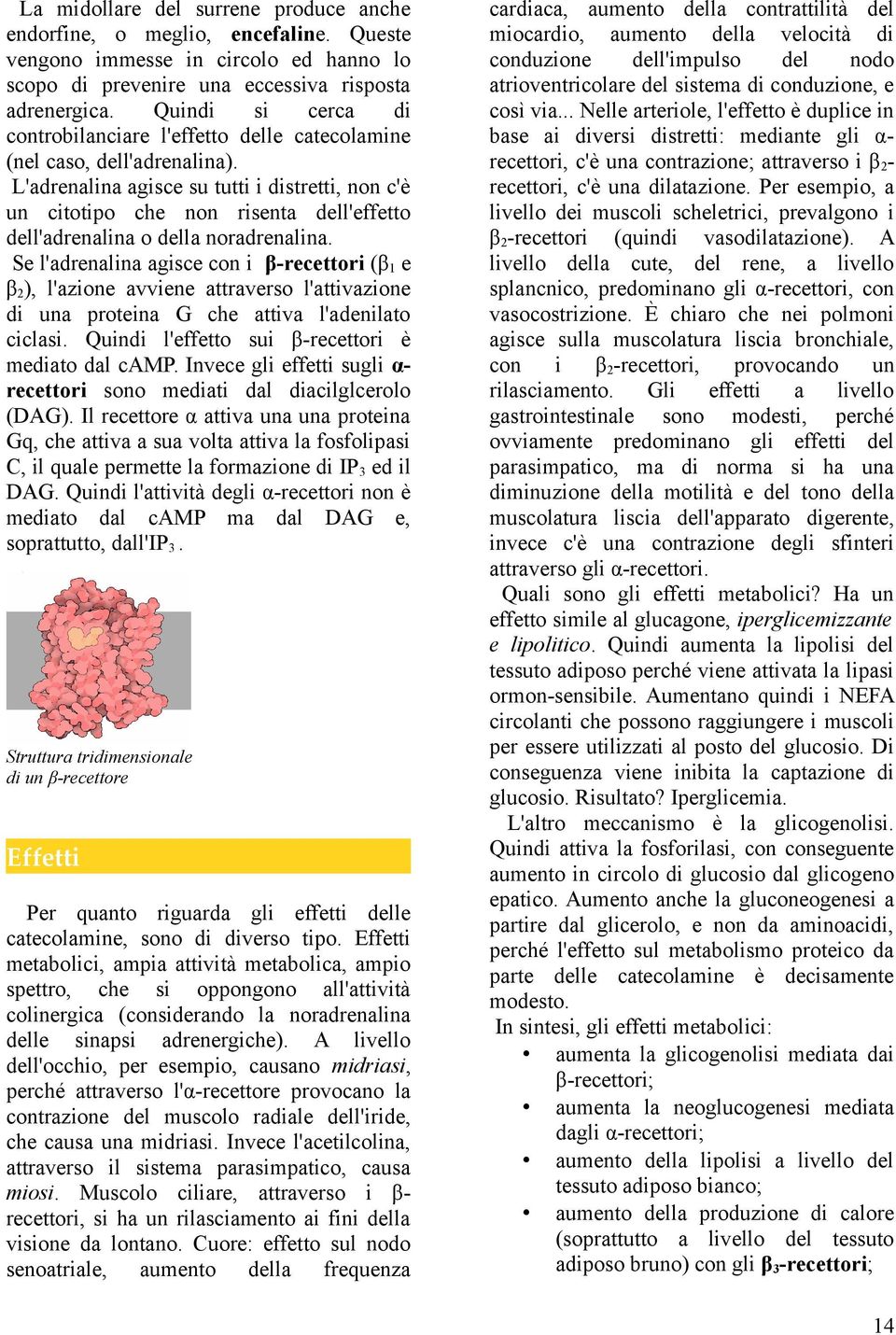 L'adrenalina agisce su tutti i distretti, non c'è un citotipo che non risenta dell'effetto dell'adrenalina o della noradrenalina.