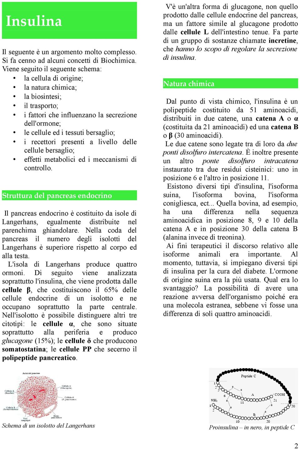 recettori presenti a livello delle cellule bersaglio; effetti metabolici ed i meccanismi di controllo.