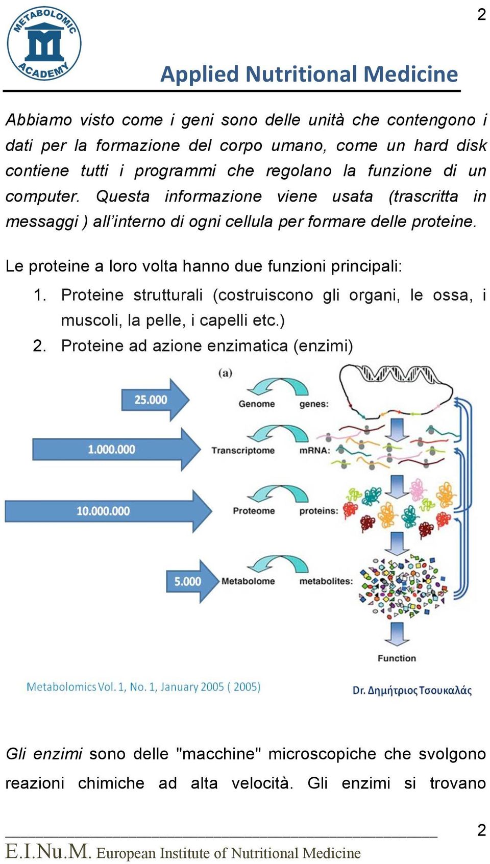 Le proteine a loro volta hanno due funzioni principali: 1. Proteine strutturali (costruiscono gli organi, le ossa, i muscoli, la pelle, i capelli etc.) 2.