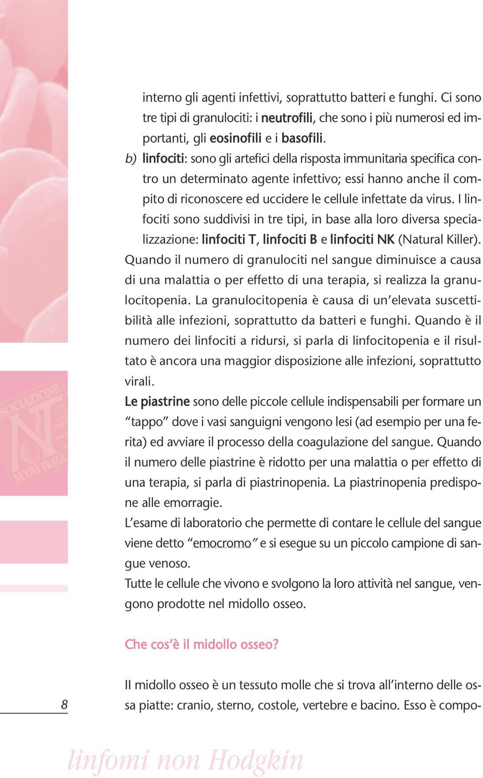 I linfociti sono suddivisi in tre tipi, in base alla loro diversa specializzazione: linfociti T, linfociti B e linfociti NK (Natural Killer).