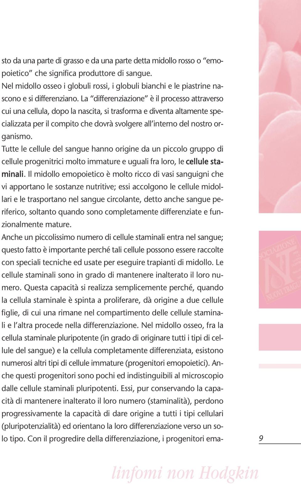 La differenziazione è il processo attraverso cui una cellula, dopo la nascita, si trasforma e diventa altamente specializzata per il compito che dovrà svolgere all interno del nostro organismo.