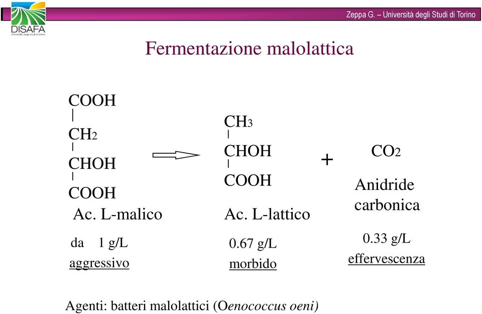 L-lattico 0.