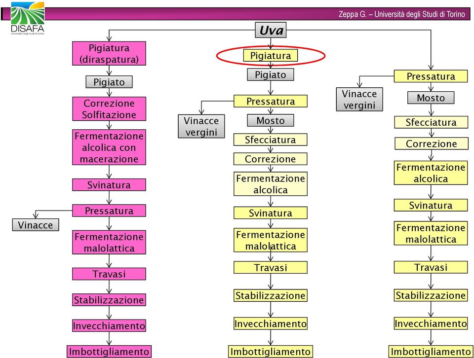 Vinacce Pressatura malolattica Svinatura malolattica Svinatura malolattica Travasi Travasi Travasi Stabilizzazione