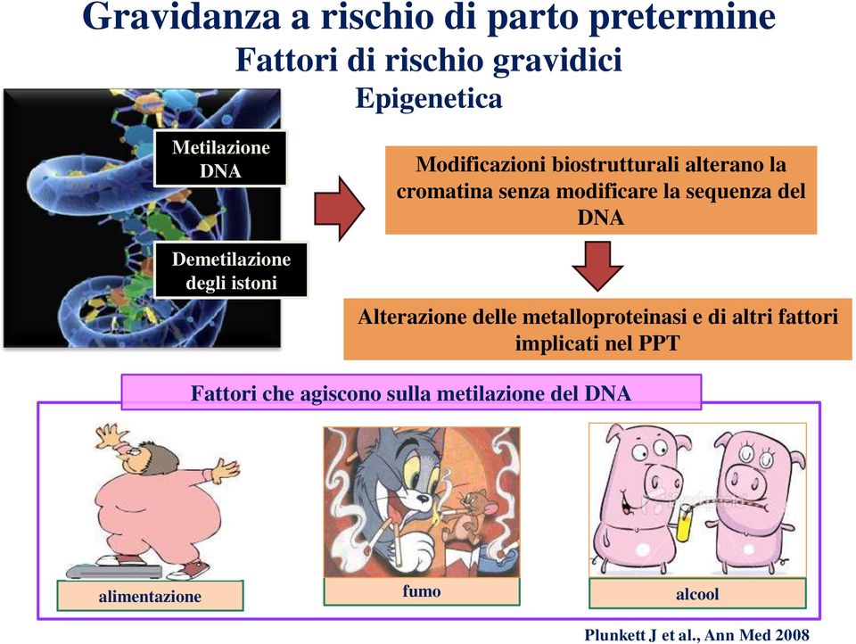 sequenza del DNA Alterazione delle metalloproteinasi e di altri fattori implicati nel PPT Fattori