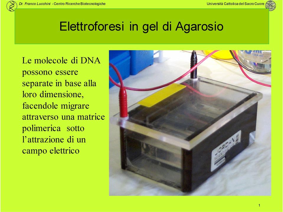 dimensione, facendole migrare attraverso una