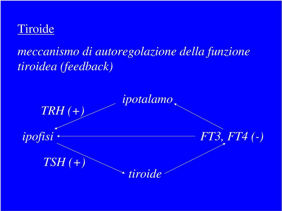 tiroidea (feedback) TRH (+)