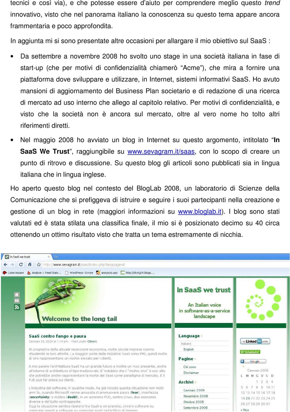 In aggiunta mi si sono presentate altre occasioni per allargare il mio obiettivo sul SaaS : Da settembre a novembre 2008 ho svolto uno stage in una società italiana in fase di start-up (che per